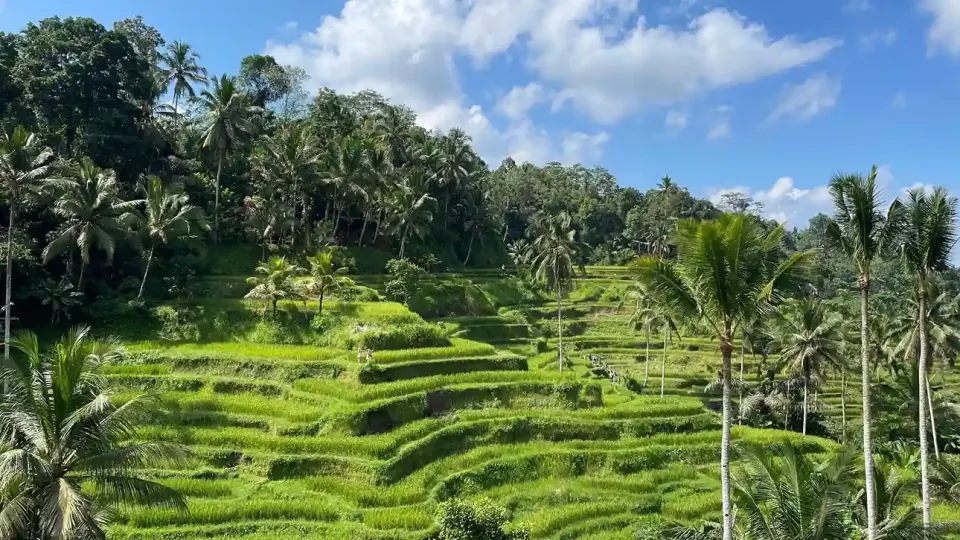 Ubud