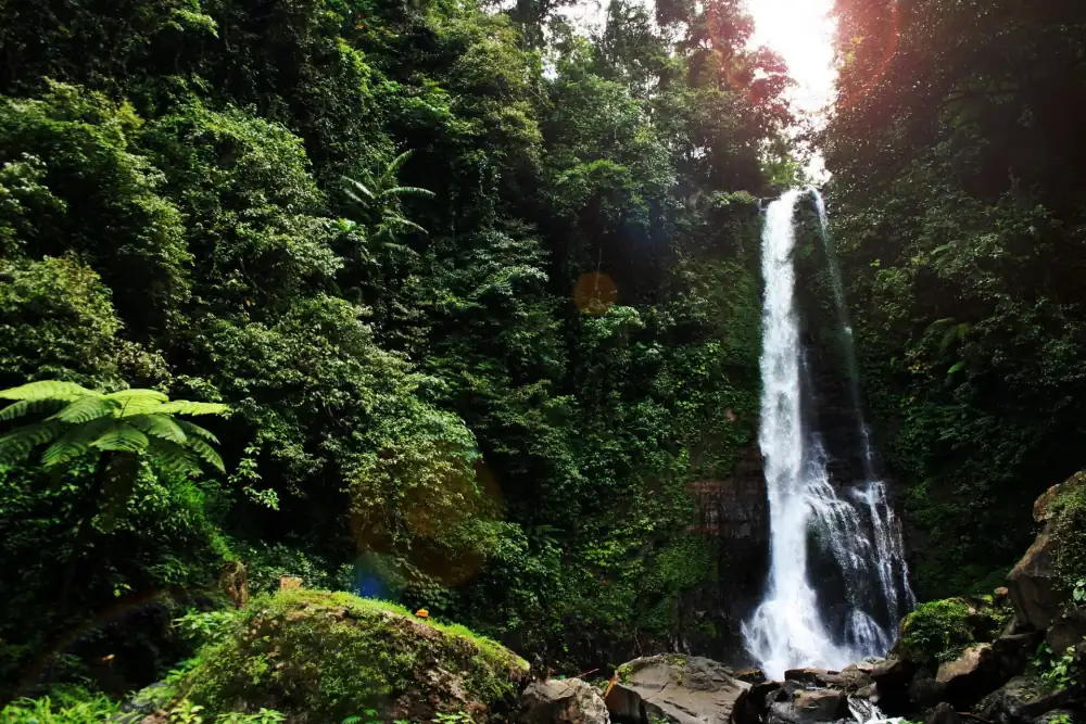 Gitgit waterfall in the forest of North Bali