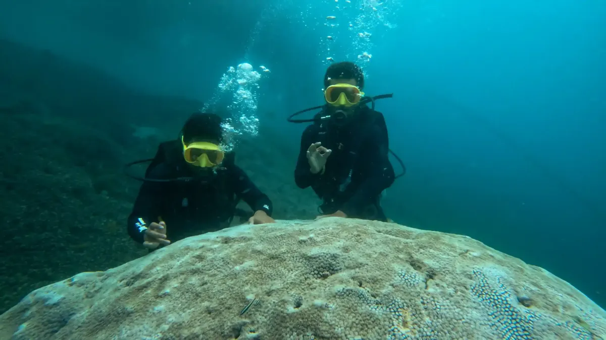 Two scuba divers giving the OK sign underwater