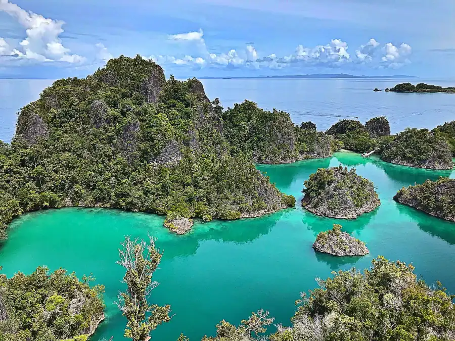 Piaynemo islands, Raja Ampat